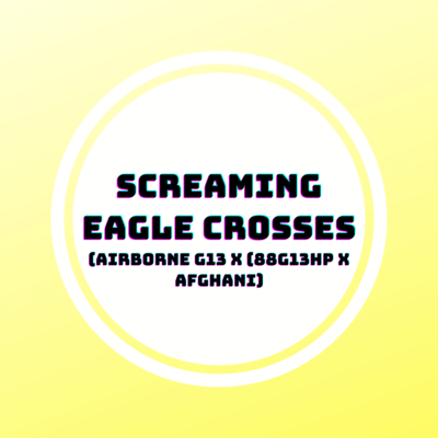 Screaming Eagle Crosses