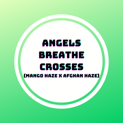 Angels Breathe Crosses