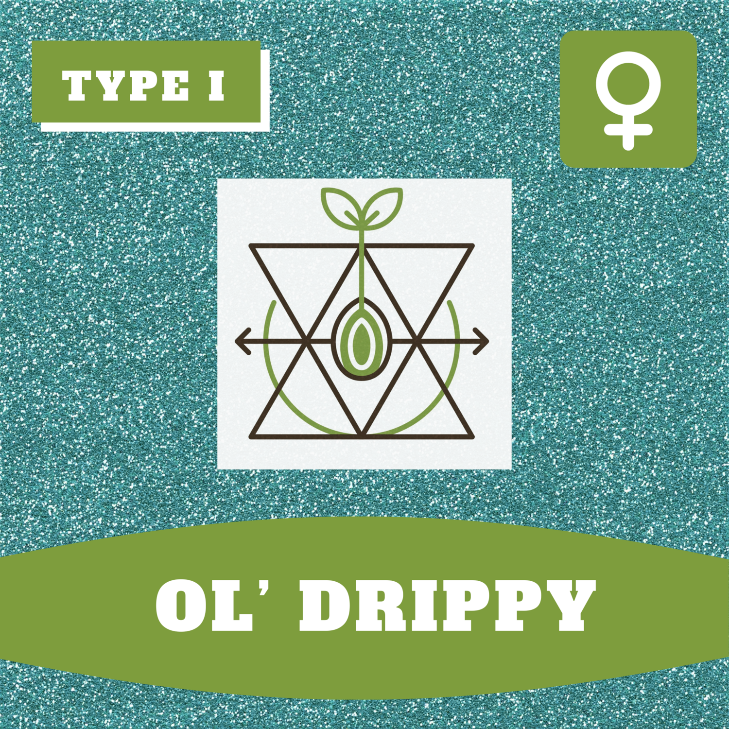Ol' Drippy - (F) Seeds