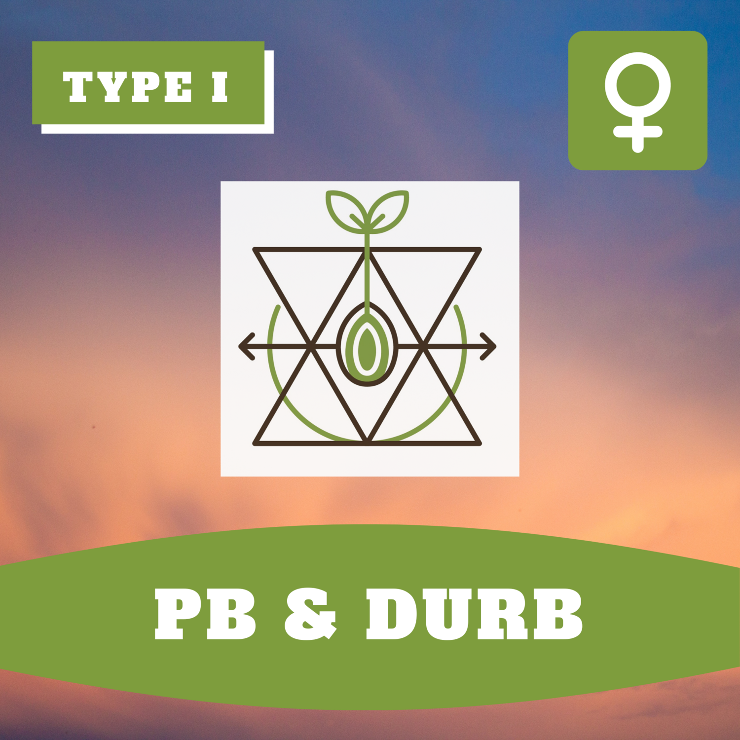 PB &amp; Durb - (F) Seeds