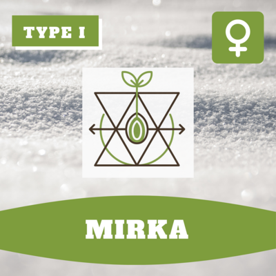 Mirka - (F) Seeds
