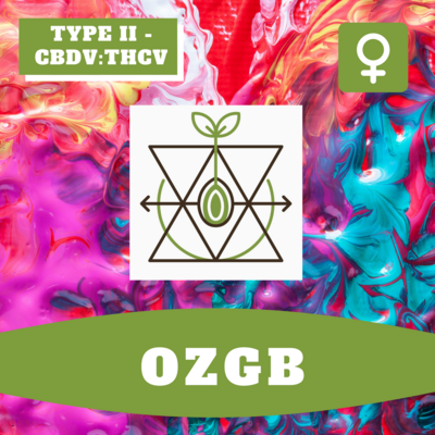 OZGB - 25 (F) Seeds