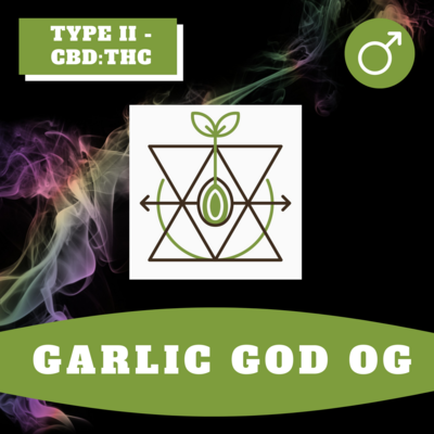 Garlic God OG - 12 (R) Seeds