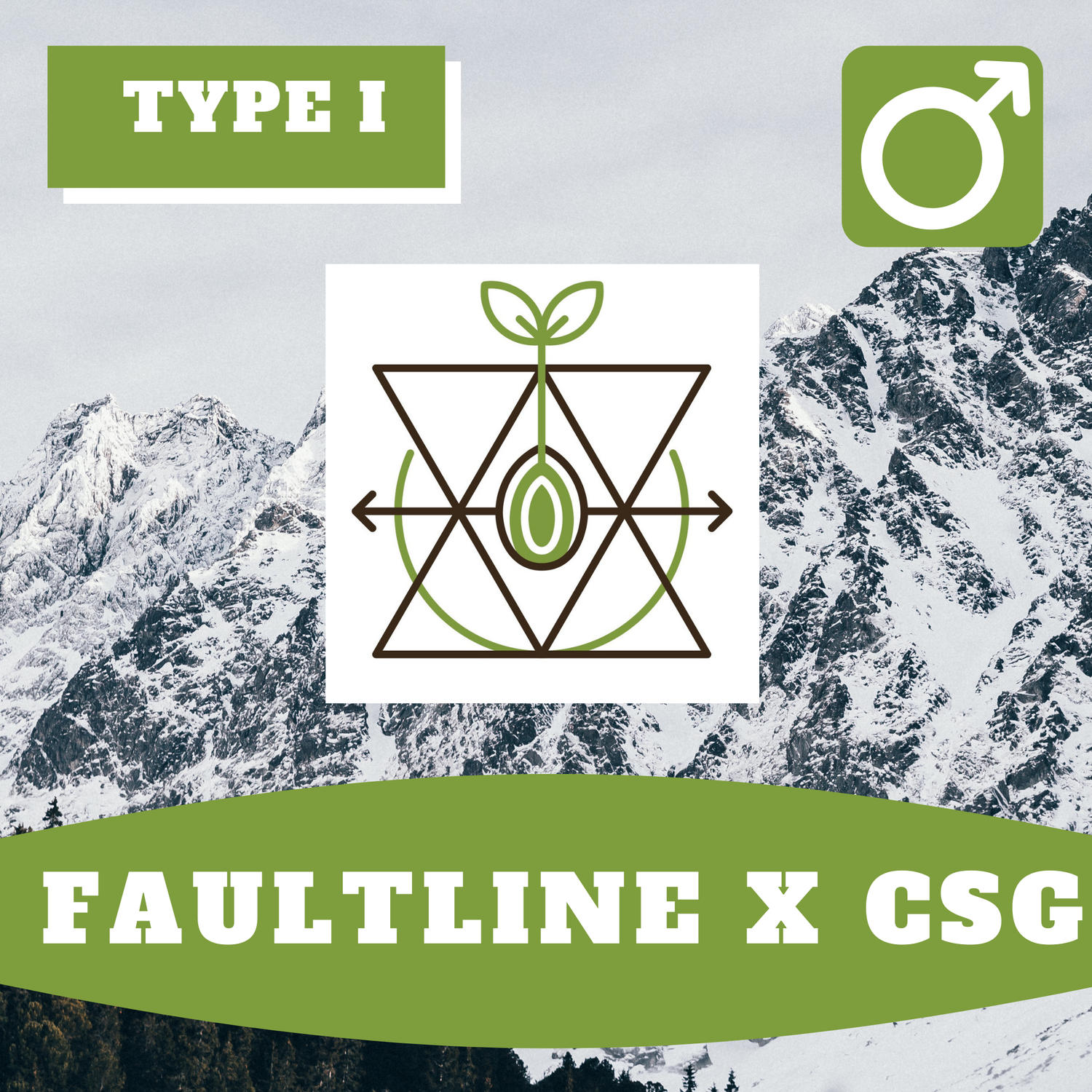 Fault Line Seeds x CSG Hybrids - 10 (R) Seeds Fault Line Seeds x CSG Hybrids - 10 (R) Seeds
