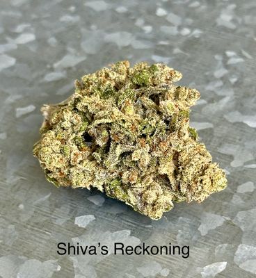 - Shiva&#39;s Reckoning -