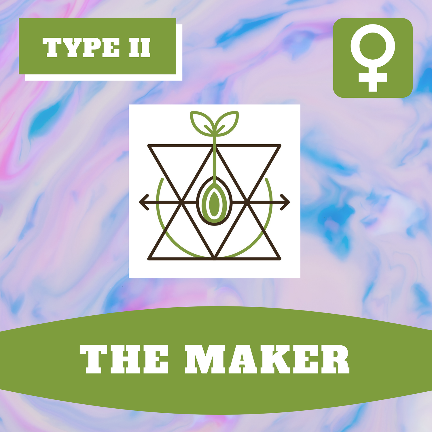 The Maker - 12 (F) Seeds