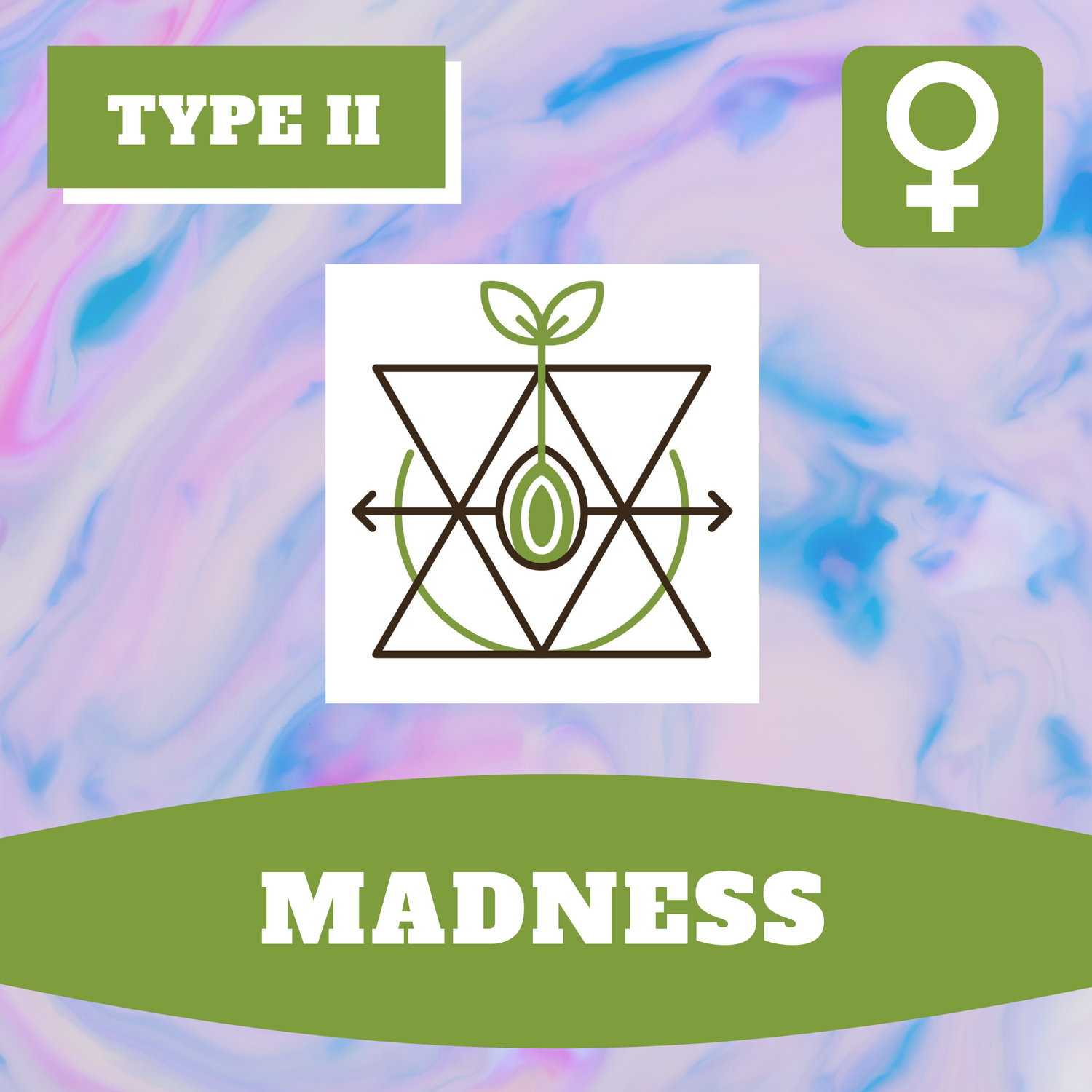 Madness - 12 (F) Seeds