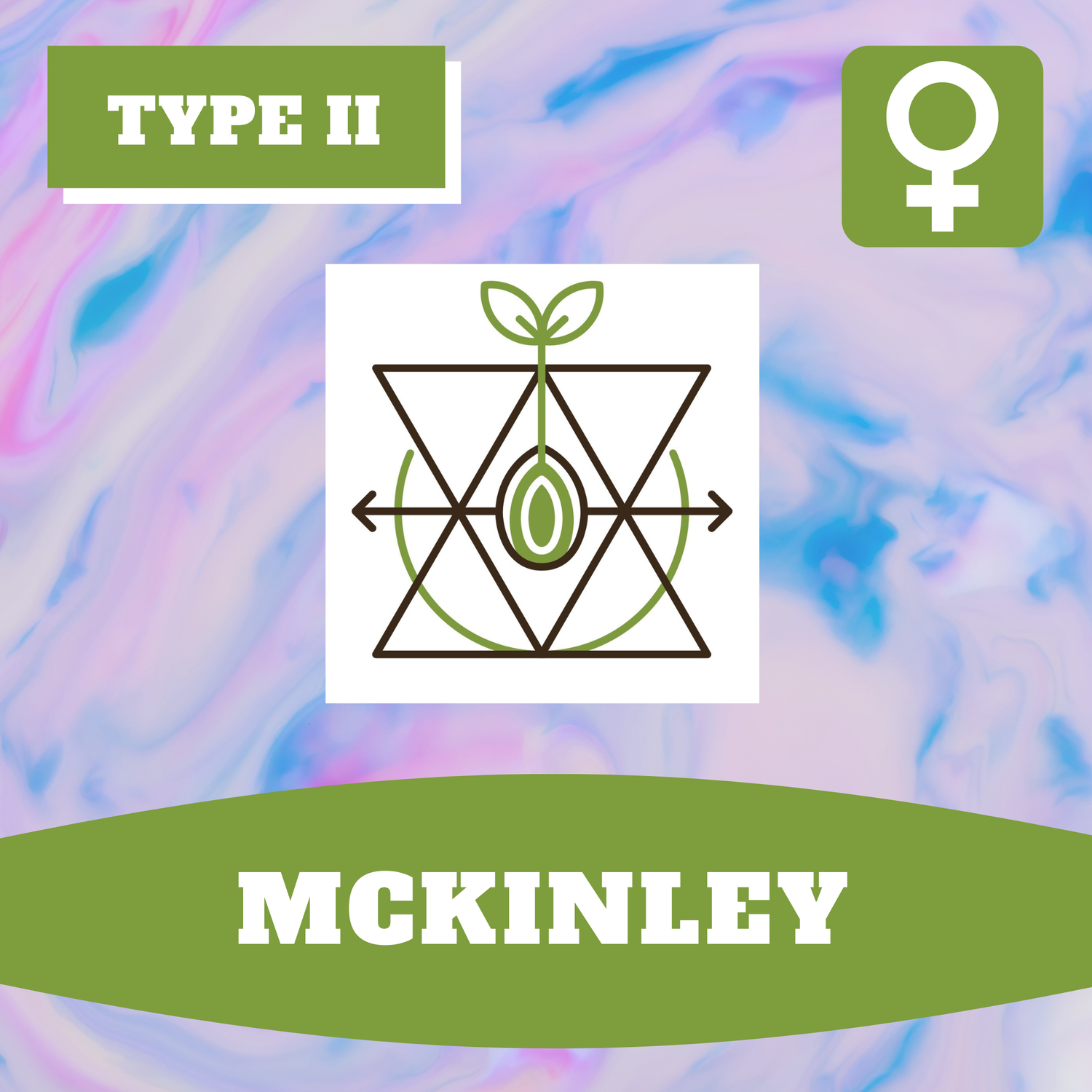 McKinley - 12 (F) Seeds