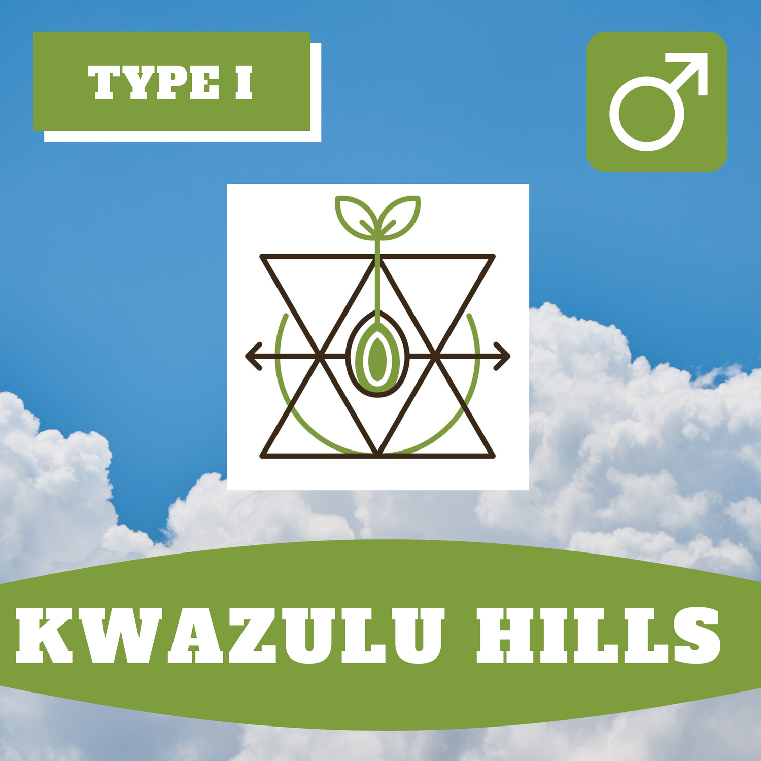 Kwazulu Hills - 12 (R) Seeds