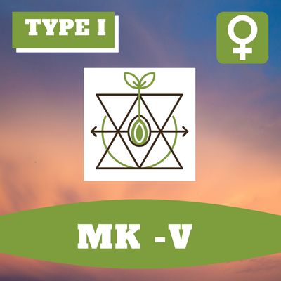 MK-V - 12 (F) Seeds