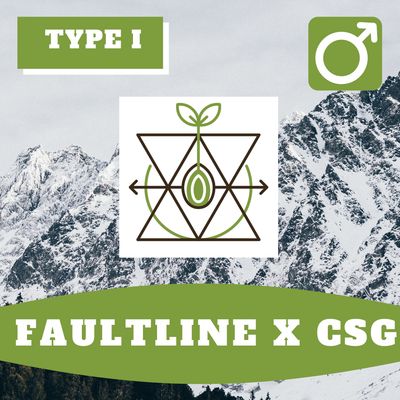Fault Line Seeds x CSG Hybrids - 10 (R) Seeds Fault Line Seeds x CSG Hybrids - 10 (R) Seeds