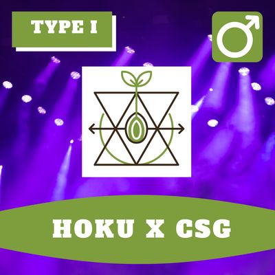 Snow Jokez x CSG - 10 (R) Seeds Snow Jokez x CSG - 10 (R) Seeds