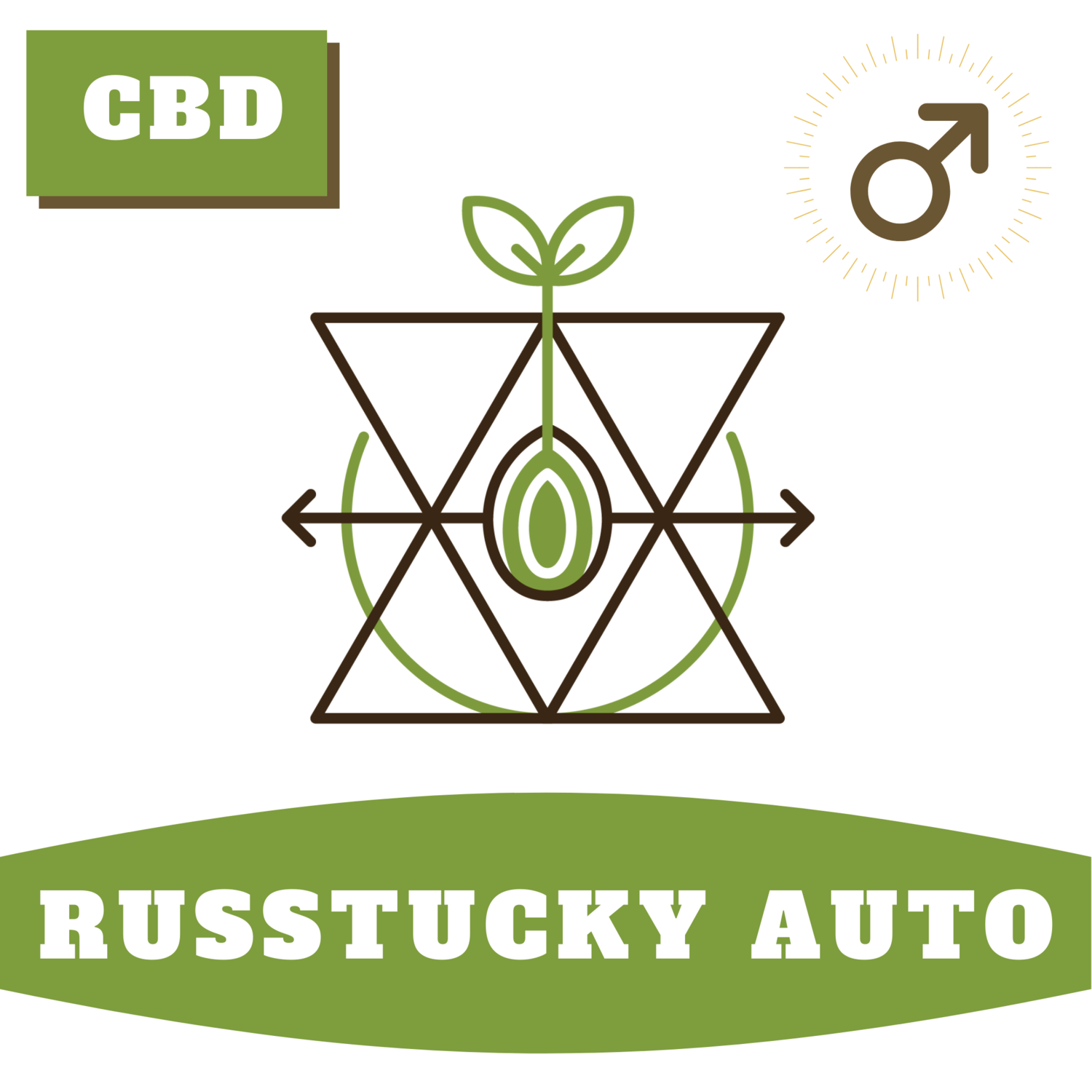 Russtucky Autoflower