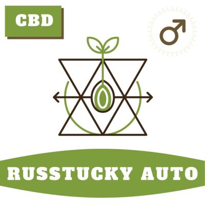 Russtucky Autoflower Russtucky Autoflower