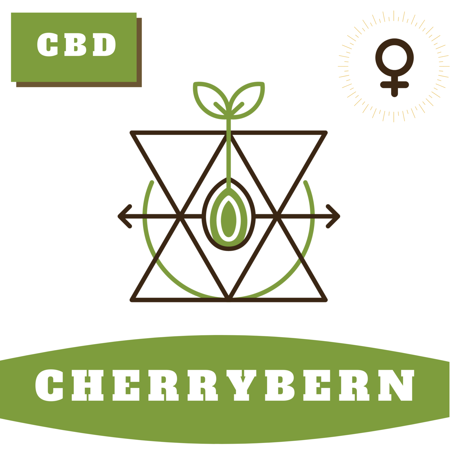 Cherry Bern