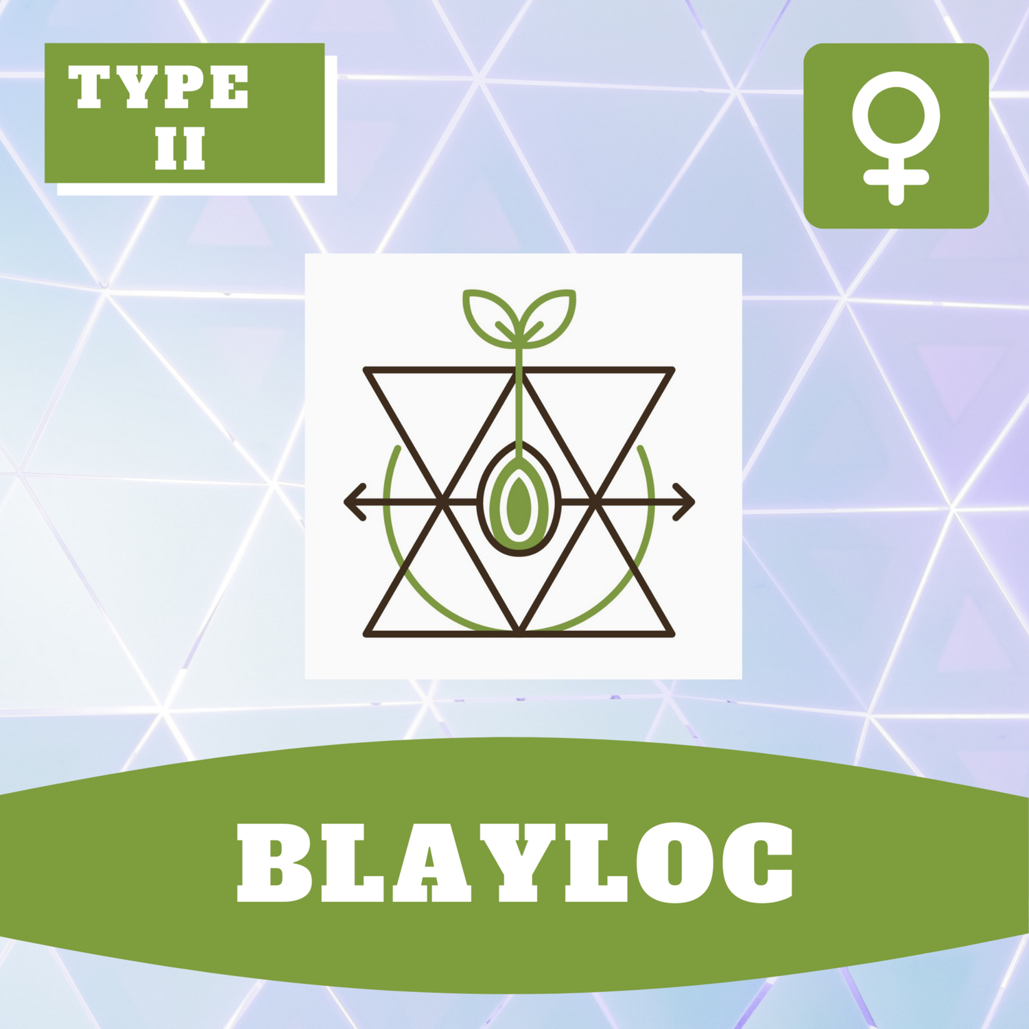 Blayloc