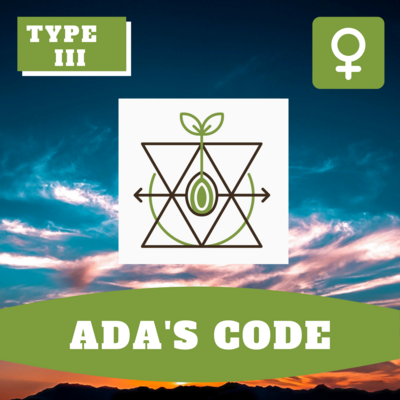 Ada's Code (F)