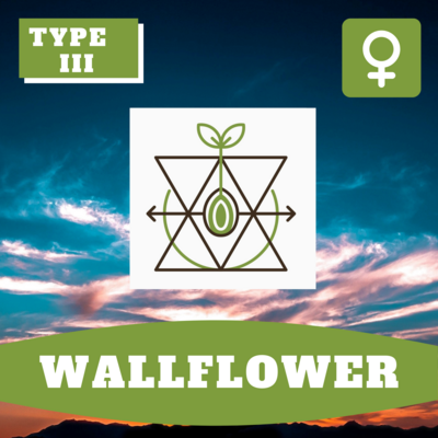 Wallflower (F)
