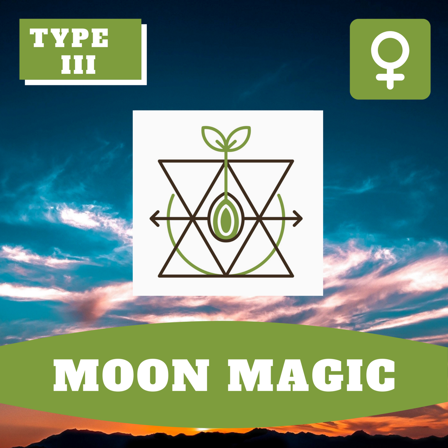 Moon Magic (F) Moon Magic (F)