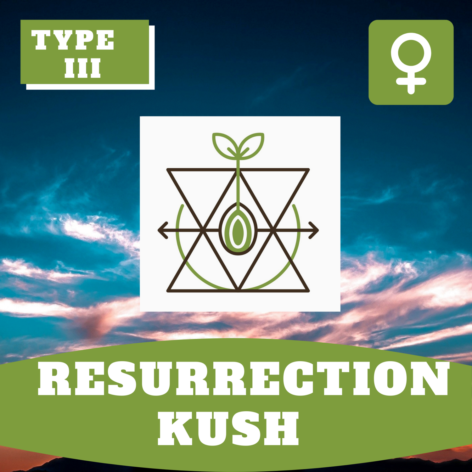 Resurrection Kush (F) Resurrection Kush (F)