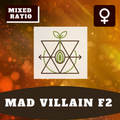 Mad Villain F2