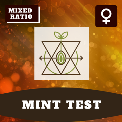 Mint Test