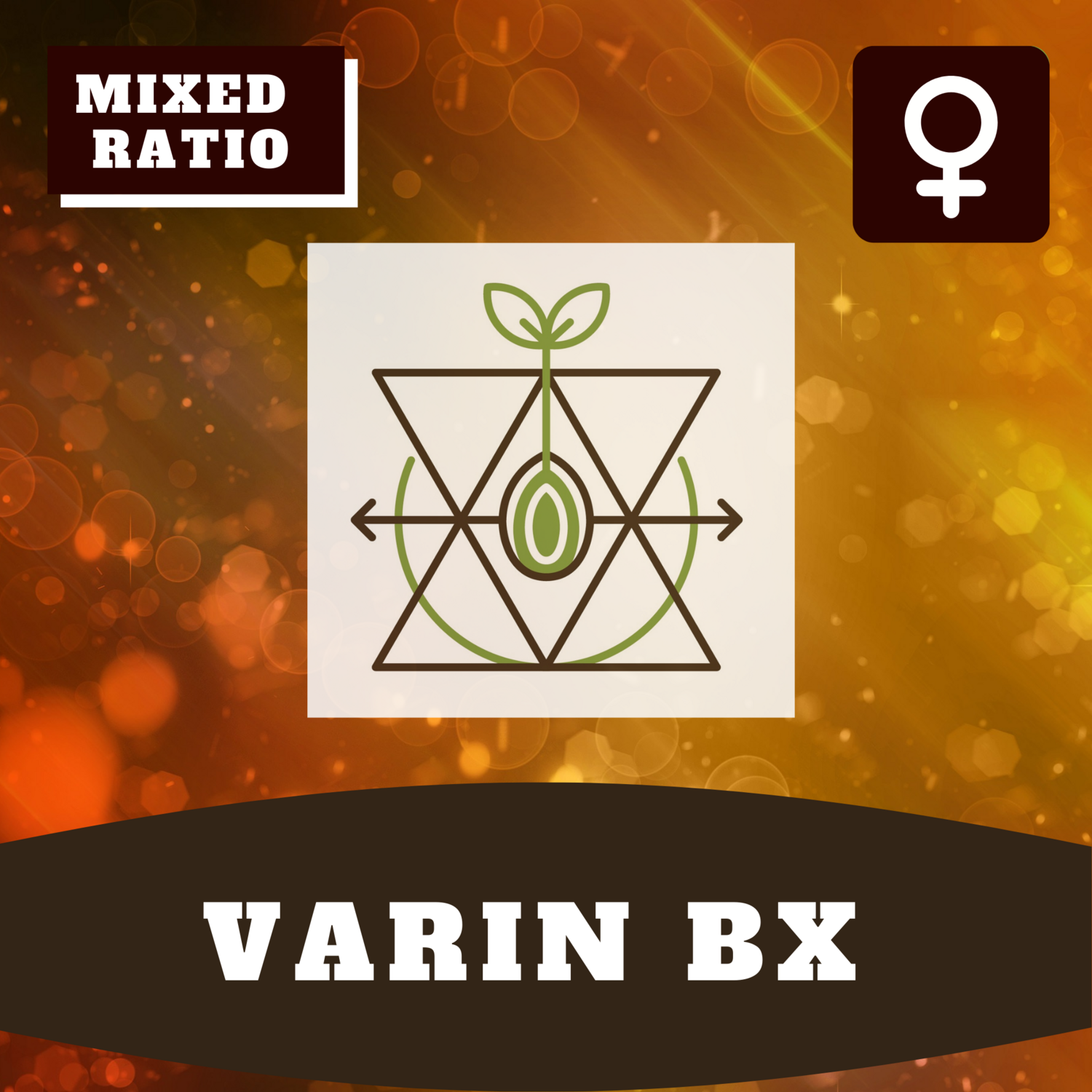Varin BX