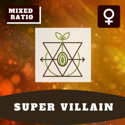 Super Villain