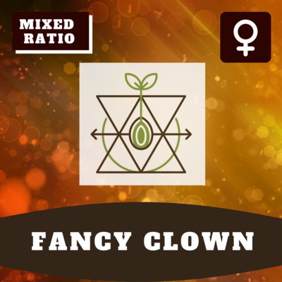 Fancy Clown