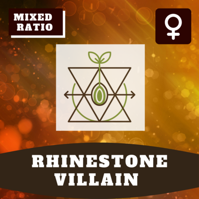 Rhinestone Villain