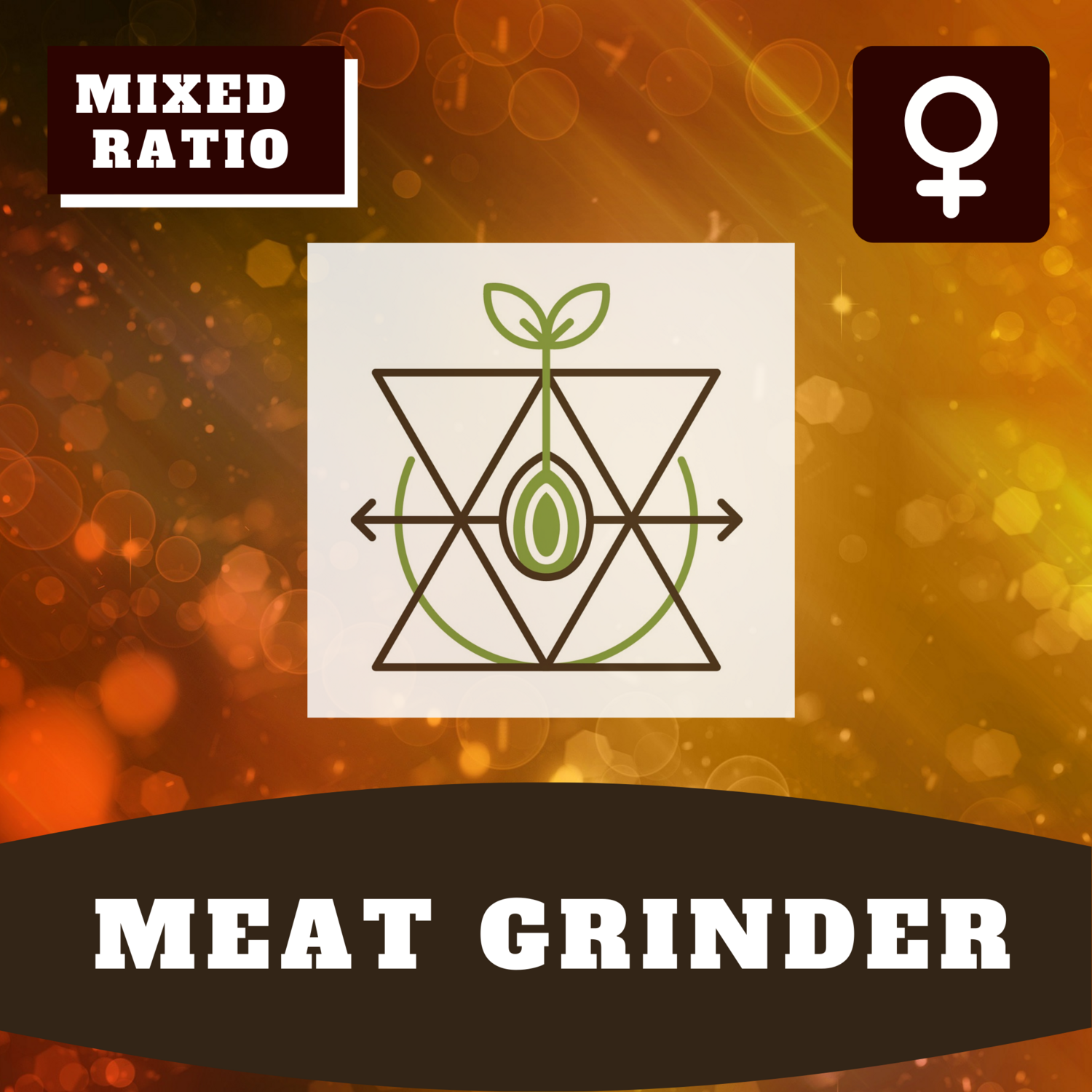 Meat Grinder