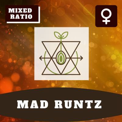 Mad Runtz