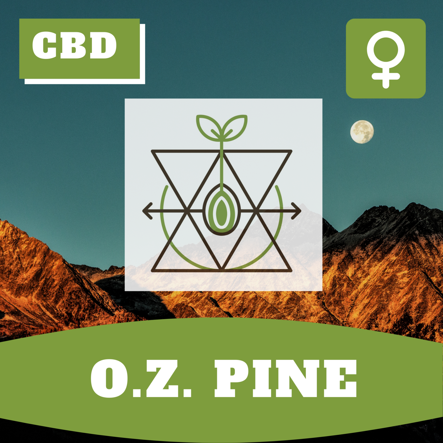 O.Z. Pine
