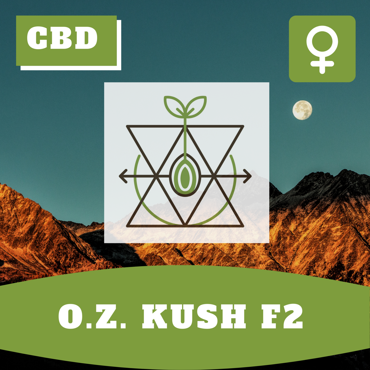 O.Z. Kush F2