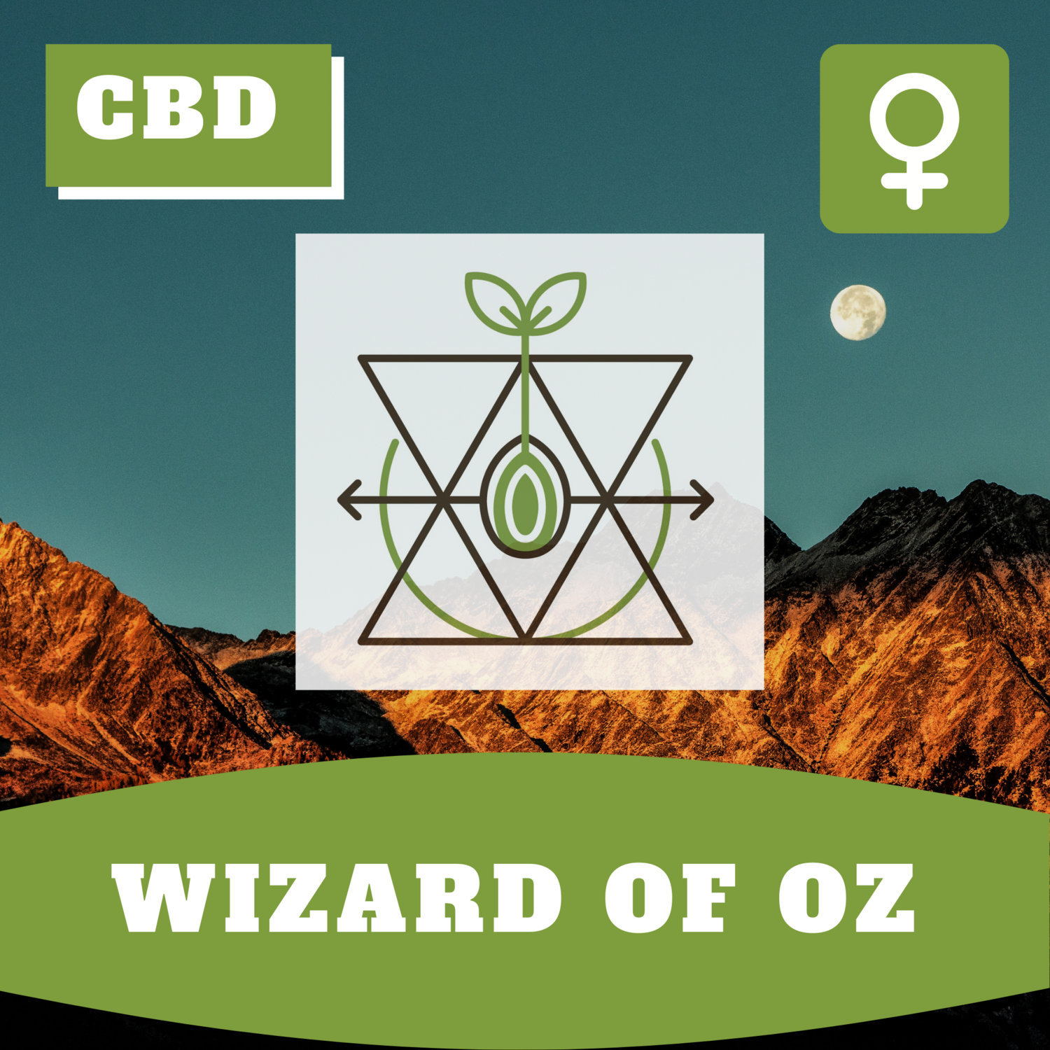Wizard of OZ Wizard of OZ