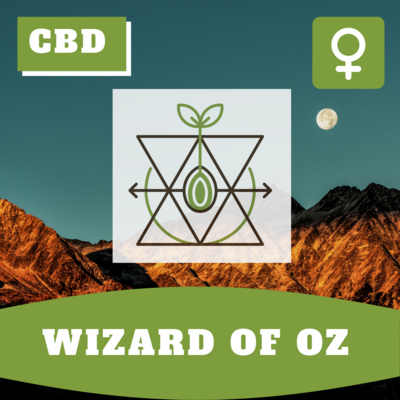 Wizard of OZ