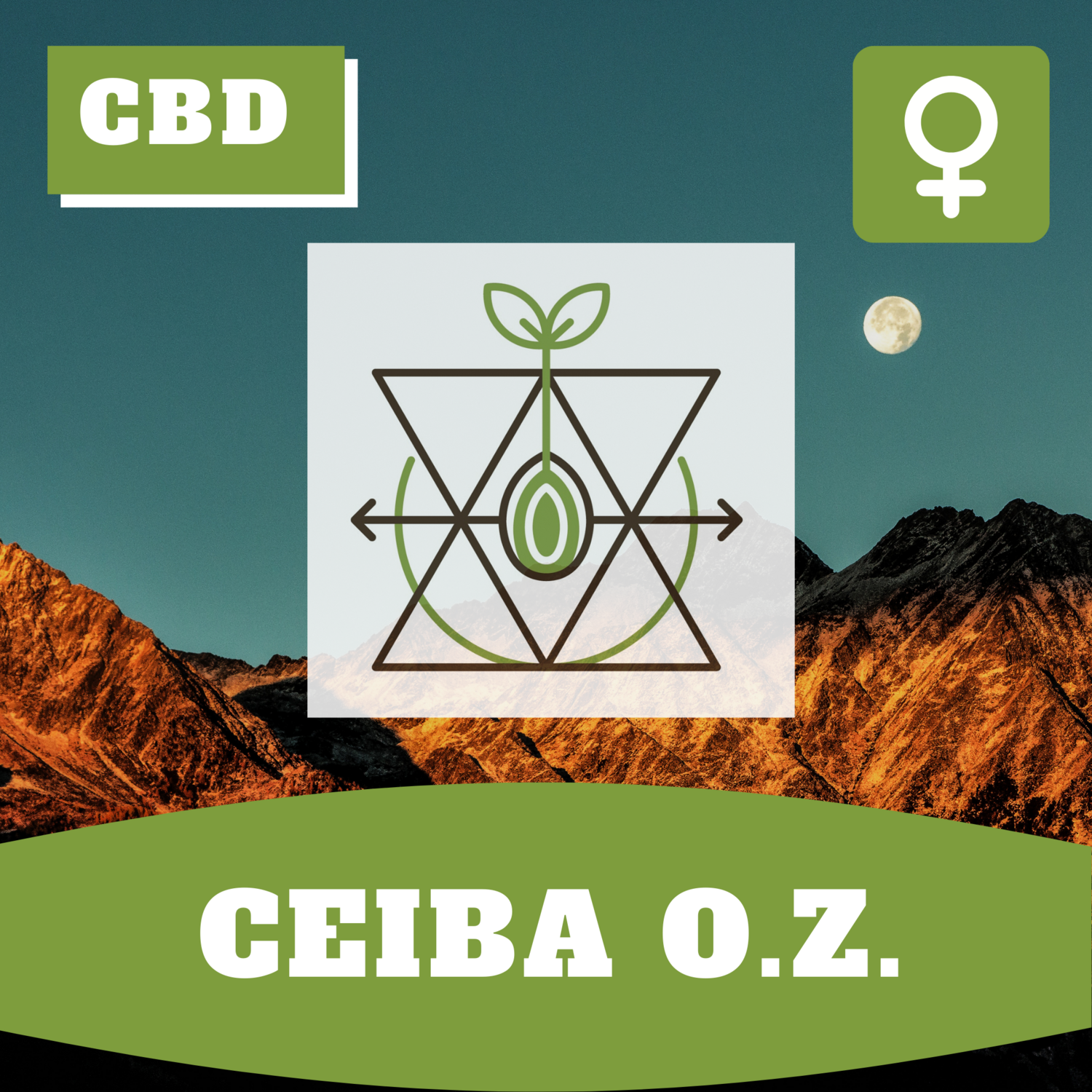 Ceiba O.Z. Ceiba O.Z.