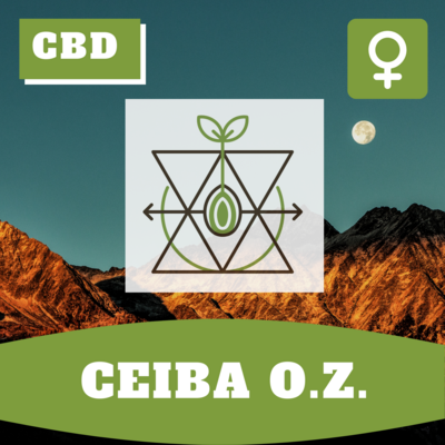 Ceiba O.Z.