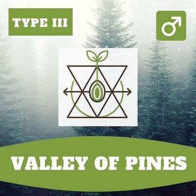 Valley of Pines (R) - 20 Seeds Valley of Pines (R) - 20 Seeds