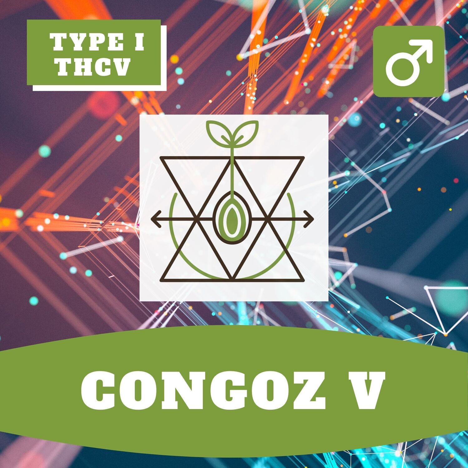 **Congoz V - 12 (R) Seeds**