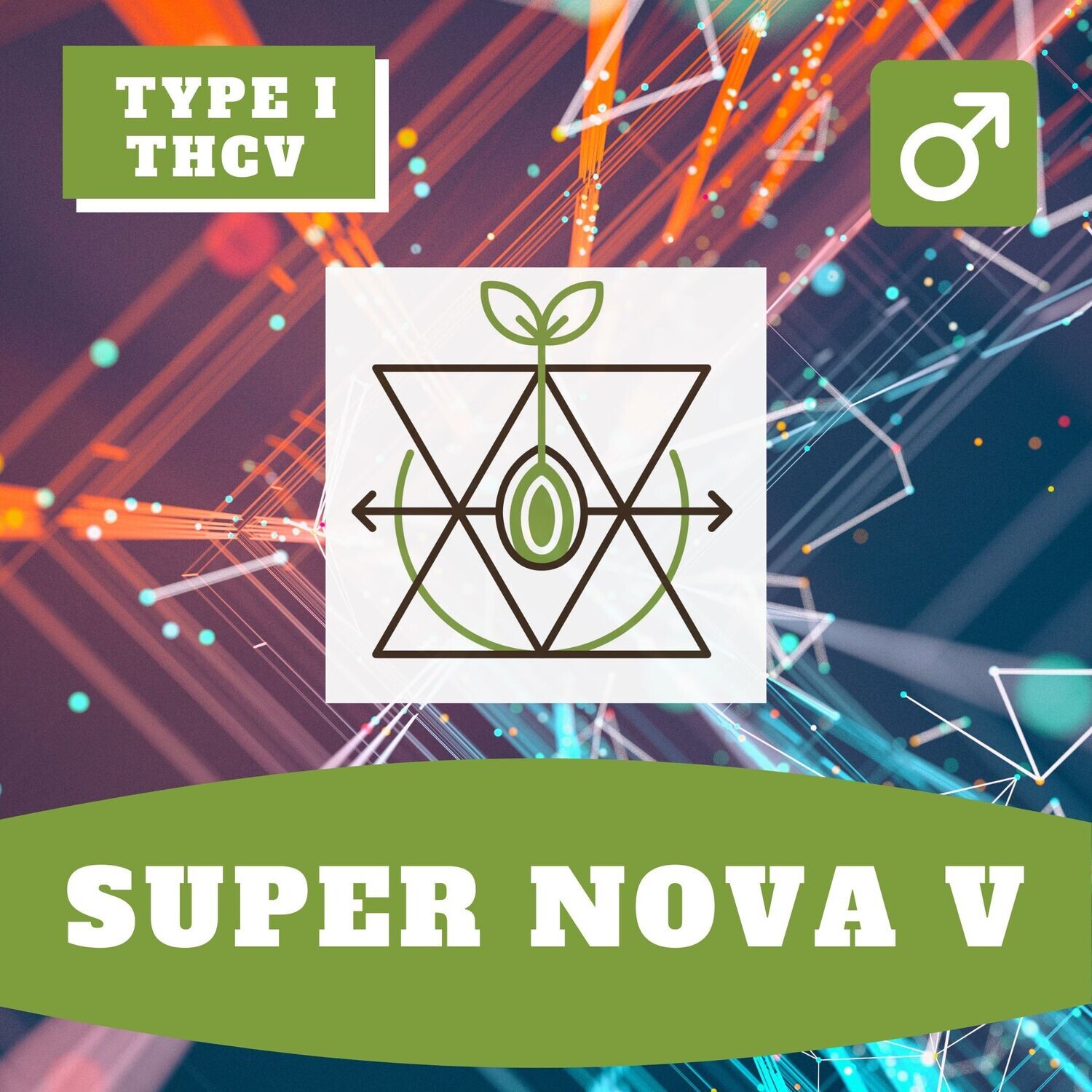 **Super Nova V - 12 (R) Seeds**