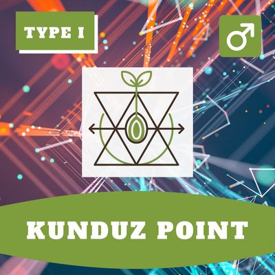 **Kunduz Point - 12 (R) Seeds** **Kunduz Point - 12 (R) Seeds**
