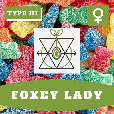Foxey Lady (F) CBD