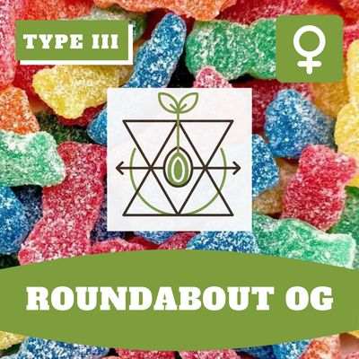 Roundabout OG (F) CBD/CBG