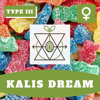 Kali's Dream (F) CBD Kali's Dream (F) CBD