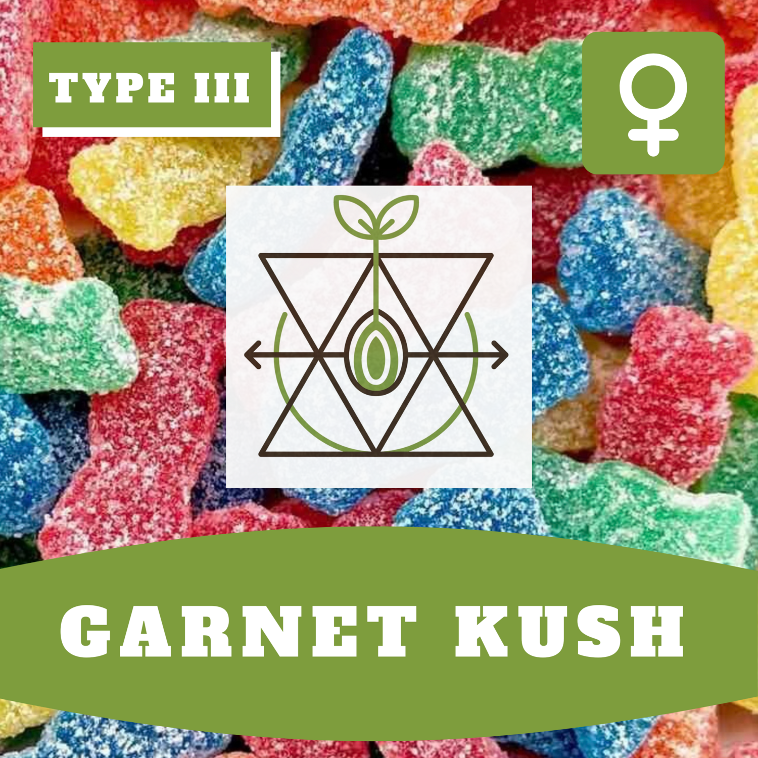 Garnet Kush  (F) CBD