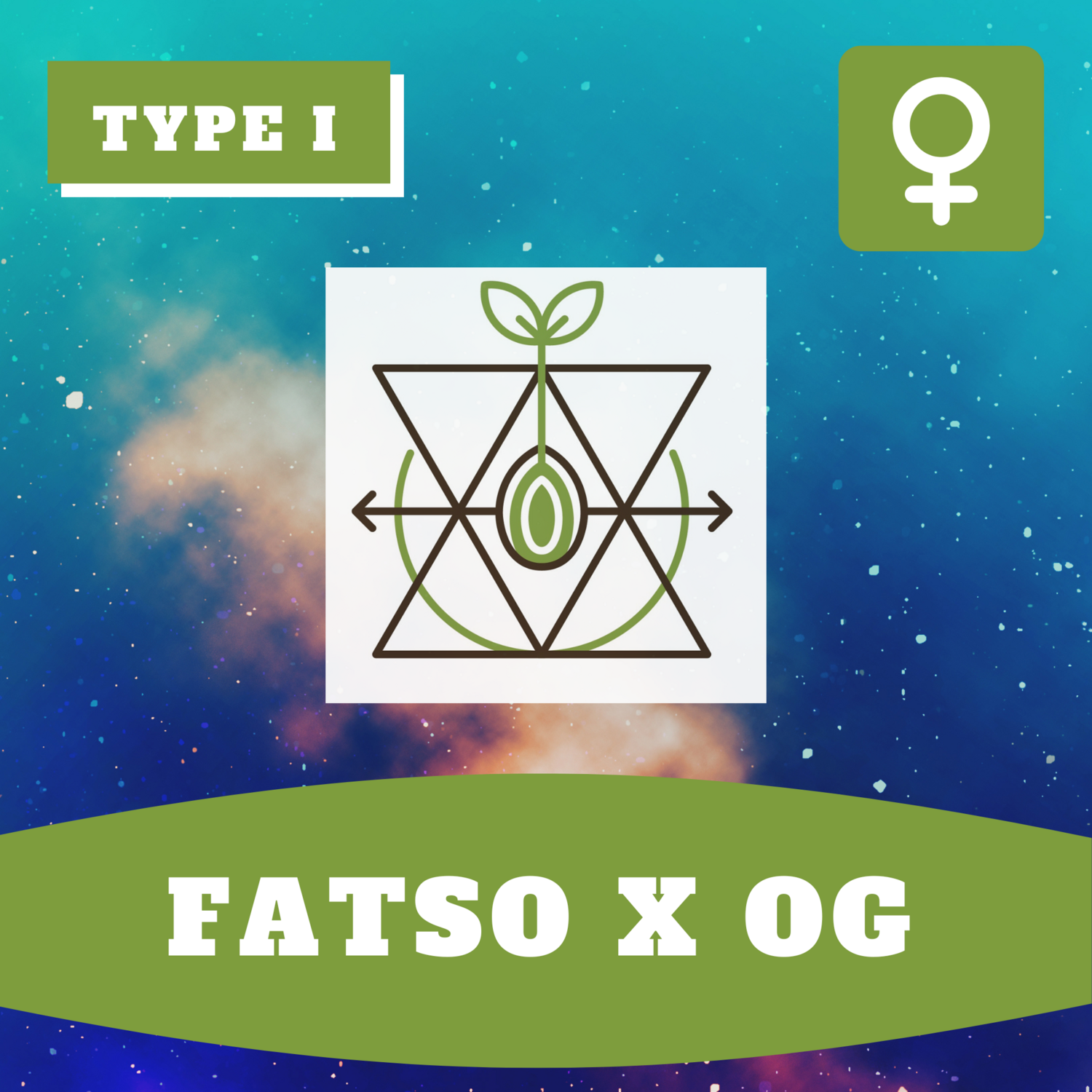** Fatso x OG (F) - 12 Seeds