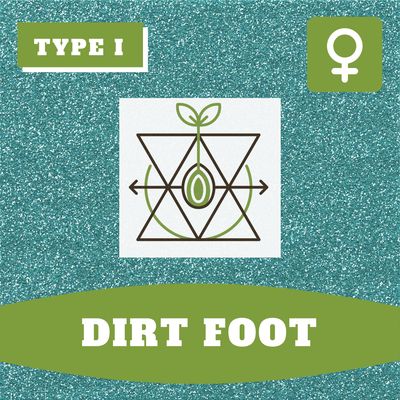 Dirt Foot - (F) Seeds