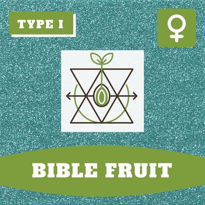Bible Fruit - (F) Seeds