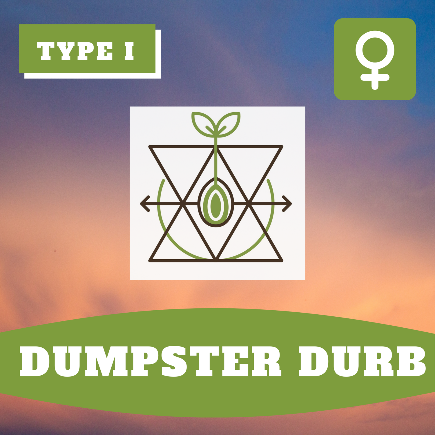 Dumpster Durb - (F) Seeds Dumpster Durb - (F) Seeds